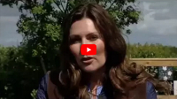 Daisy Chain Stories 2015